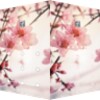 Icône AppLock Theme Peach Blossoms