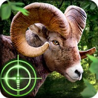 Wild Hunterapp icon