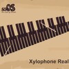 Xylophone Real: 2 mallet types icon
