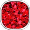 Petals Live Wallpaper icon