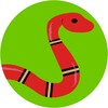Cobra Coral icon