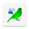 Birds Calls Sounds icon