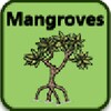 Mangroves - Identification Kit icon