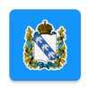 Икона Курск Дневник
