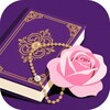   Holy Bible Light simgesi