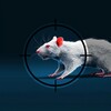 AirRifle 3D RatShooting icon