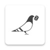 Paperless Post Flyer Invitation Maker icon