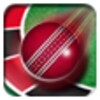 Roulette Cricket icon