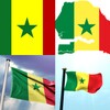 Senegal Flag Wallpaper: Flags and Country Images icon