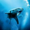 Икона Helicoprion Simulator
