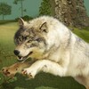 Life Of Wolf 2018 : Ultimate Wolf survival Game icon