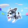 cachorro Runner icon