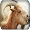 Goat sounds icon
