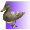 Feed the Duck 3D icon