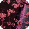 Japanese Sakura Garden icon