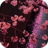 Japanese Sakura Garden 图标