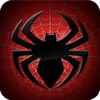 Spider Mystery icon
