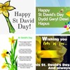 St David Day: Greetings,Quotes,Animated GIF icon