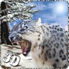 Snow Leopard Survival Attack icon