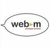 WebM for IE9 icon