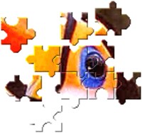 BrainsBreaker computer jigsaw puzzles. Multifeatured jigsaw puzzle software  for Pc and Mac computers