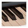 Piano Code icon