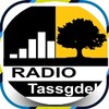 RadioTassgdelt icon