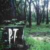 P.T. for PCアイコン