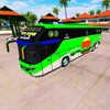 Bus skin bd icon