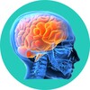 SMART BRAIN icon