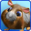 Talking Hamster icon