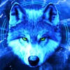 Ice Wallpaper + Keyboard: Wolf icon