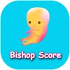 Bishop's Score Calculator simgesi