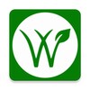 Wikiveg - Encontre produtos ve icon