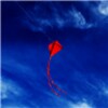 Icona di Soaring Kites Live Wallpaper