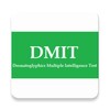 DMIT icon