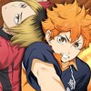 Icon von Haikyuu! Touch the dream