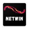 Netwin icon
