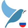 Icono de Bluebird Russian