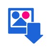 Flickr Saver icon