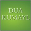 Dua Kumayl 아이콘