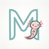 Http LTM icon