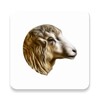 My Sheep Manager icon