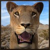 Wild Lioness Simulator icon