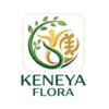 keneyaflora 아이콘