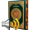 Hausa Quran Audio icon
