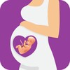 8. Pregnancy Calculator icon