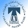CND Nabatieh icon