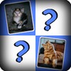 Free Kittens and Cats Matchup icon