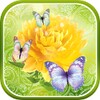 Cute Butterfly Live Wallpaper icon